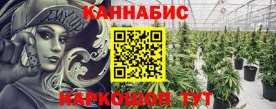 прущая мука Ачхой-Мартан