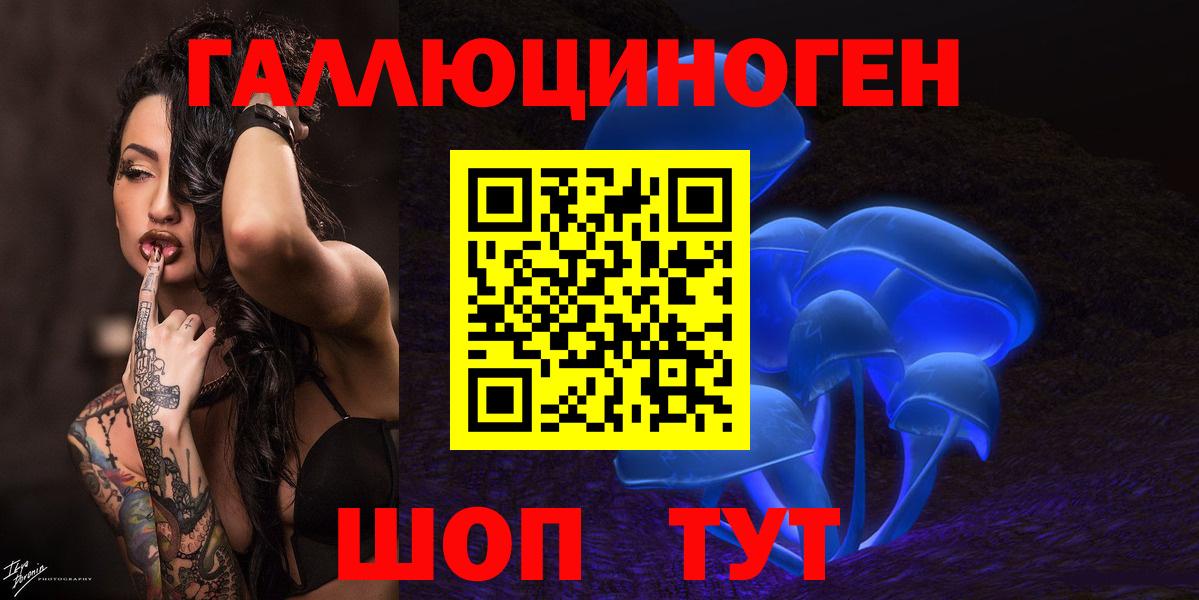 Галлюциногенные грибы Psilocybine cubensis Кемерово