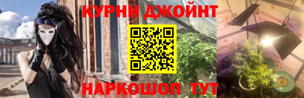 Конопля OG Kush Кемерово